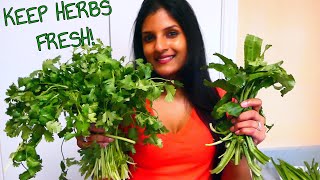 How to Keep HERBS amp VEGETABLES Fresh Save Money [upl. by Tireb243]