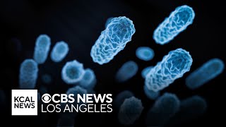 Orange County sends out health warning after detecting Legionnaires Disease [upl. by Winthorpe]