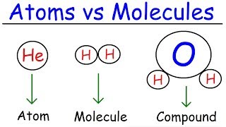 Elements Atoms Molecules Ions Ionic and Molecular Compounds Cations vs Anions Chemistry [upl. by Eolande]