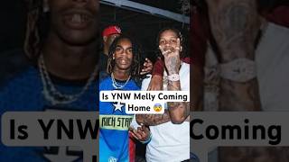 Is YNW Melly Coming Home 😱 shortsvideoynwmelly rap [upl. by Ytirahs]