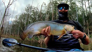 Saratoga Fishing Hinze Dam [upl. by Skyler220]