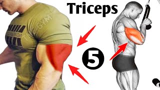 My Top 5 Exercises For Bigger Triceps  Triceps Workout [upl. by Berke658]