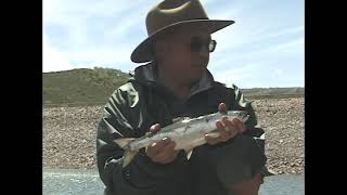 Green Mountain Reservoir  Kokanee [upl. by Nonrev]