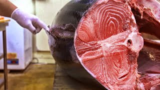 Full Ver How to dismantle a large tuna  Make a masters sashimi  Try tuna right away  참치해체amp회뜨기 [upl. by Irap]