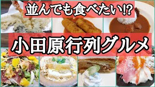 【小田原ラスカ】並んでも一度は食べたいグルメ巡り、又食べたくなります [upl. by Vtehsta367]