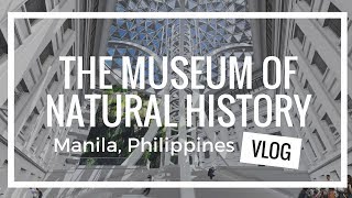 VISITING THE NATIONAL MUSEUM OF NATURAL HISTORY MANILA PHILIPPINES FREE ADMISSION [upl. by Downs]