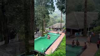 FOREST RESORT IN WAYANAD 900 kandi  Resorts in Wayanad  call 8139851006 [upl. by Hteazile767]