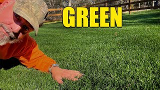 Green Lawn in Winter and Farm Projects [upl. by Oisacin]