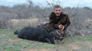 Feral Hog Hunting Big Boar Down [upl. by Quickel]