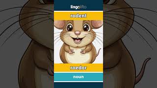 🇬🇧🇪🇸 rodent  roedor  vocabulary builder  learn English  aprendamos inglés [upl. by Tedman114]