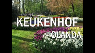 Il Parco Keukenhof in Olanda [upl. by Refennej]