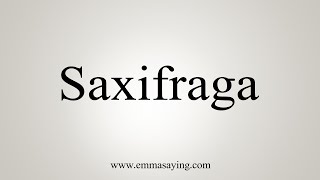 How To Say Saxifraga [upl. by Ellitnahc855]