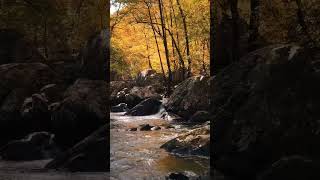 Nature Videos Download The BEST Free 4k Stock Video Footage amp Nature HD Video Clips [upl. by Camp178]