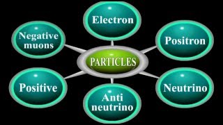 What are Leptons Physics Animation [upl. by Etnud]