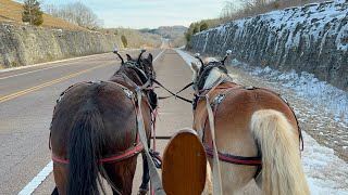 Star the Percheron cross amp Barbie the Haflinger on a Winter Wagon Ride ⛄️ [upl. by Kcirneh]