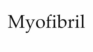 How to Pronounce Myofibril [upl. by Graehl558]