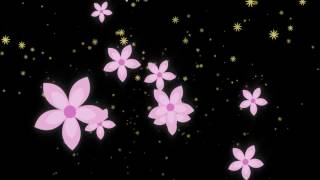 Flowers falling  Spring is here  Free motion graphics  50fps [upl. by Nnarefinnej516]