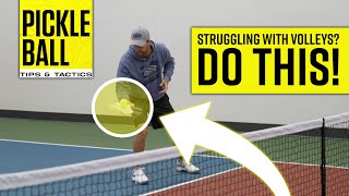 Improve the Accuracy of Your VOLLEY Pickleball Tips amp Drills [upl. by Aryad]