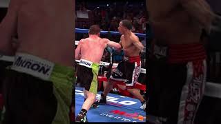 Greatest Knockouts  Canelo Álvarez vs James Kirkland [upl. by Dranik565]