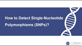 What is singlenucleotide polymorphism and how to detect it [upl. by Kazmirci]