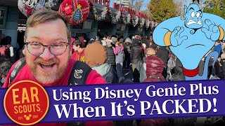 Disney Genie Plus at the Busiest Time of the Year Our Best Strategies and Tips to Beat the Crowds [upl. by Noned]