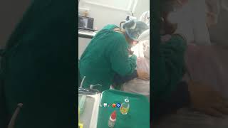 Third molar surgery 48 tooth numbershortvideooralandmaxillofacialsurgeonimpactedmolar🙏🏻🙏🏻🦷💉❤️‍🔥🧿🧿 [upl. by Eesyak286]