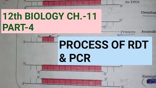 Class 12 biology chapter 11part 4process of RDT amp PCRstudy with FARRU [upl. by Aivart401]