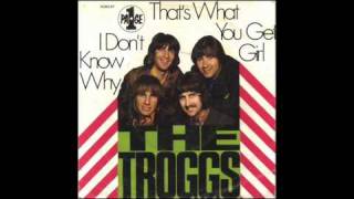 The Troggs  Thats what you get Girl [upl. by Mariand342]