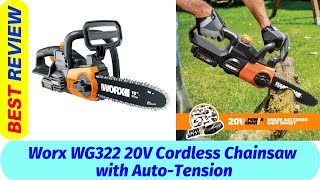 Worx Cordless Chainsaw Reviews 2019  Worx WG322  20V [upl. by Llenaj492]