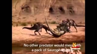 Prehistoric Fight Club episode 2 Acrocanthosaurus vs Saurophaganax [upl. by Petr]