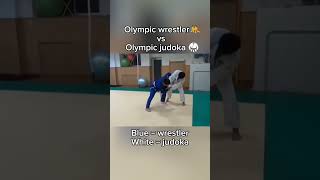 Olympic Wrestler vs Olympic Judoka [upl. by Disario]