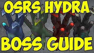 OSRS  Hydra Boss Guide Alchemical Hydra Guide [upl. by Ellehcal]