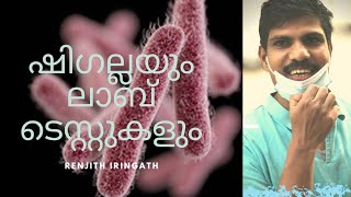 SHIGELLAഷിഗല്ല Lab Diagnosis [upl. by Bunow211]