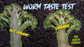 BATTLE OF THE BROCCOLI  Worm Taste Test [upl. by Ibrek]