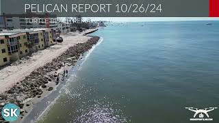 Siesta Key Beach Reopens  Hurricanes on Siesta Key  Real Siesta Key Pelican Report [upl. by Amimej]