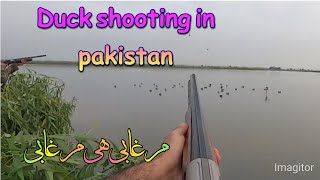 duck shooting in pakistan [upl. by Aronel]