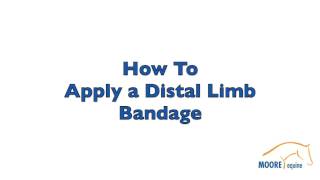 Moore Equine  How to Apply a Distal Limb Bandage for your Horse [upl. by Sidonius]