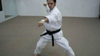 Basic Shotokan Karate Blocks [upl. by Shelbi]