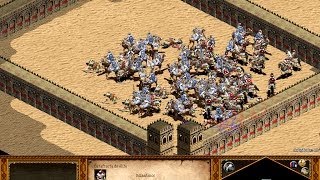 Por que una catafracta vence a un camello  HD  Age of Empires II The Conquerors [upl. by Yhtak]