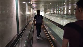 Singapore Botanic Gardens MRT station walk from Downtown Line to Circle Line [upl. by Ivie]