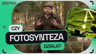 GATUNEK ZERO 8 JAK ROSNĄ POLSKIE LASY CZY ZACZĘŁY EMITOWAĆ CO2 [upl. by Adihsar]