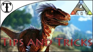 The BEST Breeding Guide on Mutations  Ark Survival Ascended [upl. by Anid]