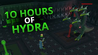 Loot From 10 Hours Of Alchemical Hydra [upl. by Norahs]