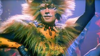 The Rum Tum Tugger  Cats The Musical 2023 [upl. by Ramaj]