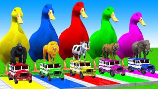 5 Giant Duck CartoonCowMammothDogTRexLionTiger Paint Wild Animals Crossing Fountain Animation [upl. by Htebyram]