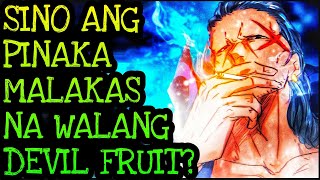 STRONGEST NON DEVIL FRUIT USER  One Piece Tagalog Analysis [upl. by Perreault265]