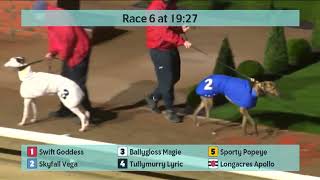 Monmore Greyhounds Races on 22nd February 2024 [upl. by Veleda]