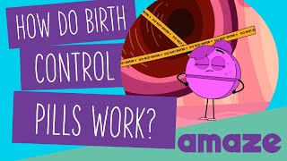 How Do Birth Control Pills Work [upl. by Corina995]