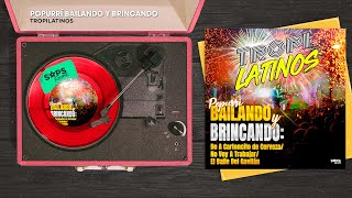 Tropilatinos  Popurrí Bailando y Brincando De A Cartoncito De Cerveza Audio Oficial [upl. by Ainoda69]