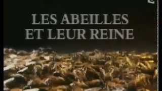 Documentaire Les abeilles et leur reine [upl. by Mylander]